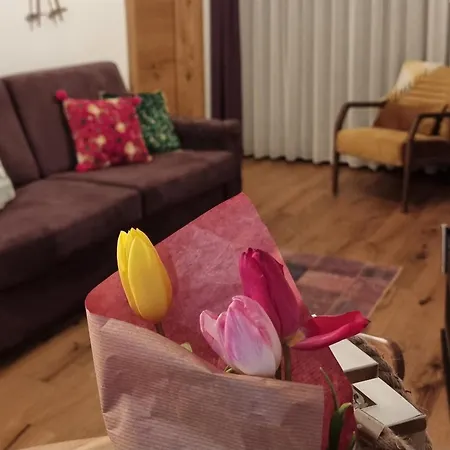 Apartmán Winter Park Bjelašnica