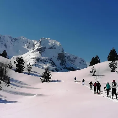 Apartman Winter Park Bjelašnica